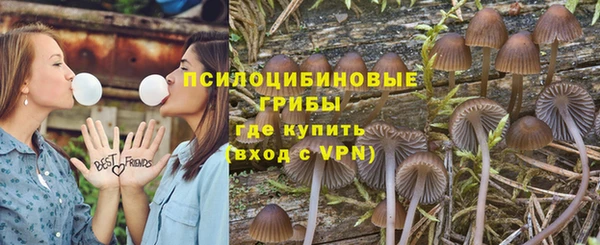 ешки Балахна