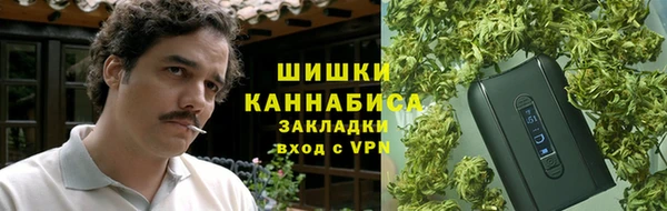 PSILOCYBIN Баксан